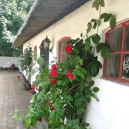 Gemuetliches Reetdachhaus Mit Kaminofen Hostel Ribe Exterior foto