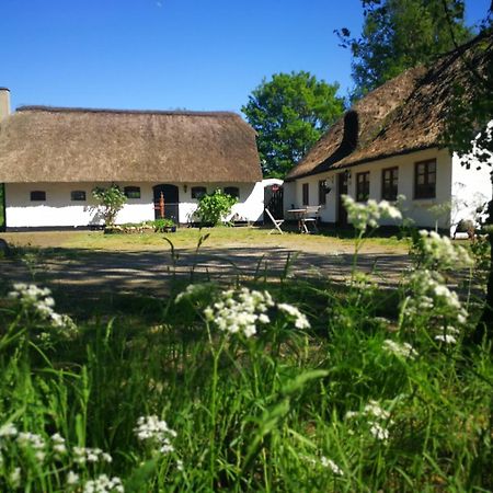 Gemuetliches Reetdachhaus Mit Kaminofen Hostel Ribe Exterior foto