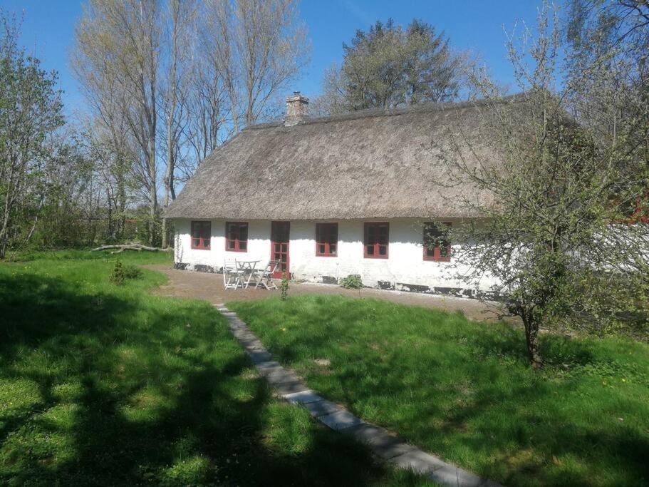 Gemuetliches Reetdachhaus Mit Kaminofen Hostel Ribe Exterior foto