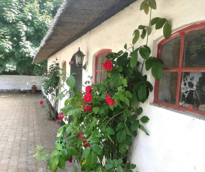 Gemuetliches Reetdachhaus Mit Kaminofen Hostel Ribe Exterior foto