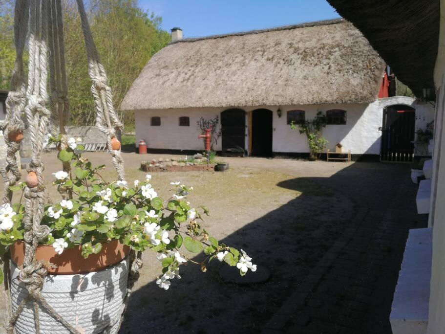 Gemuetliches Reetdachhaus Mit Kaminofen Hostel Ribe Exterior foto