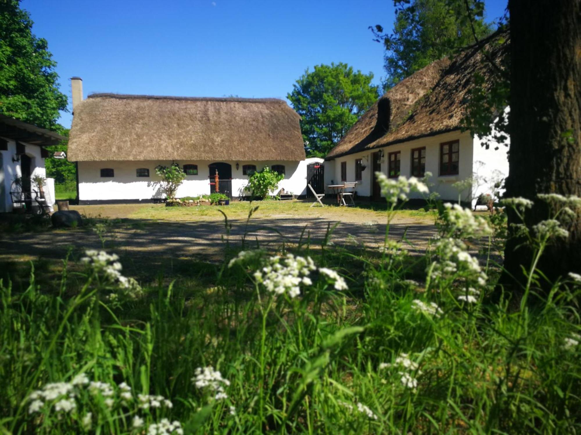 Gemuetliches Reetdachhaus Mit Kaminofen Hostel Ribe Exterior foto