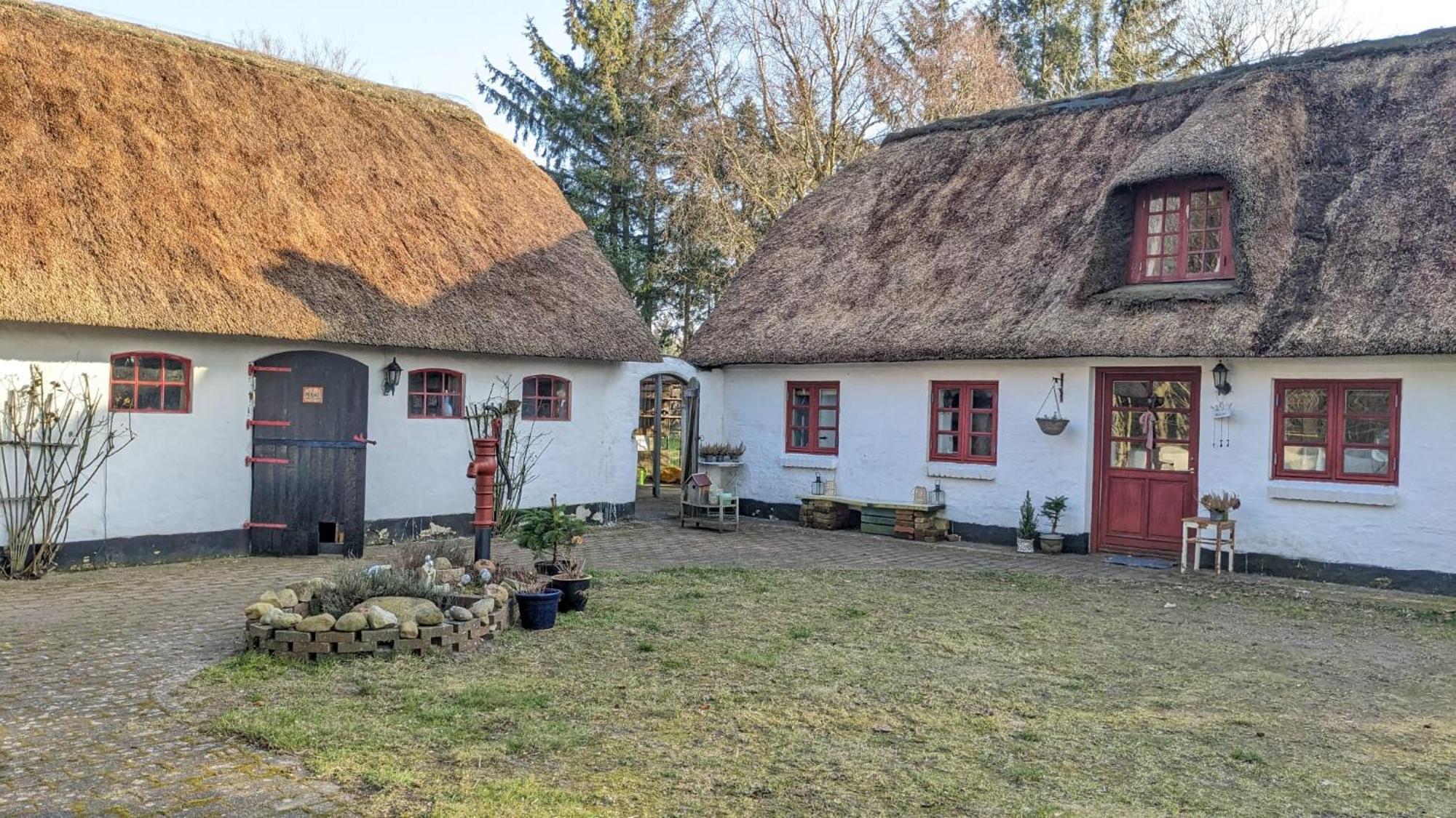 Gemuetliches Reetdachhaus Mit Kaminofen Hostel Ribe Exterior foto